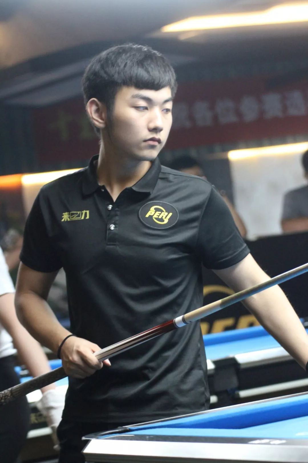 近年来进步 近年来进步